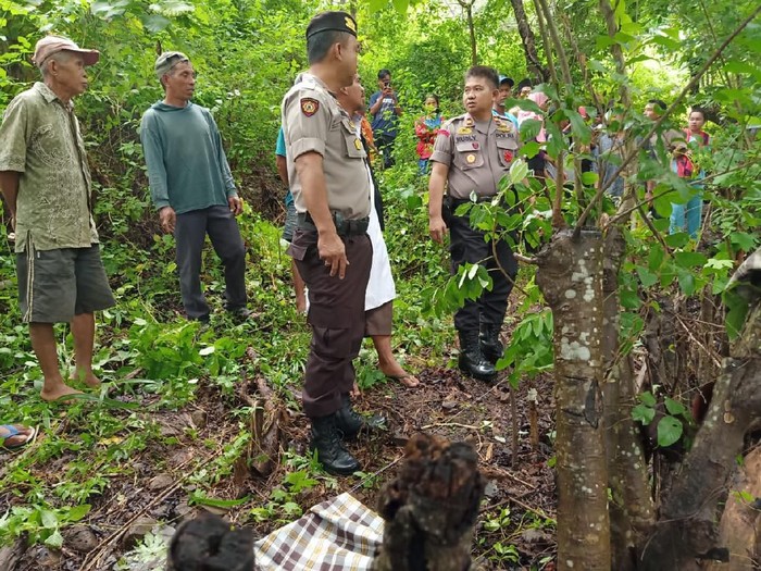 Lokasi penemuan petani di Barru, Sulsel, tewas terkena kawat listrik jebakan hama babi (dok. Istimewa)