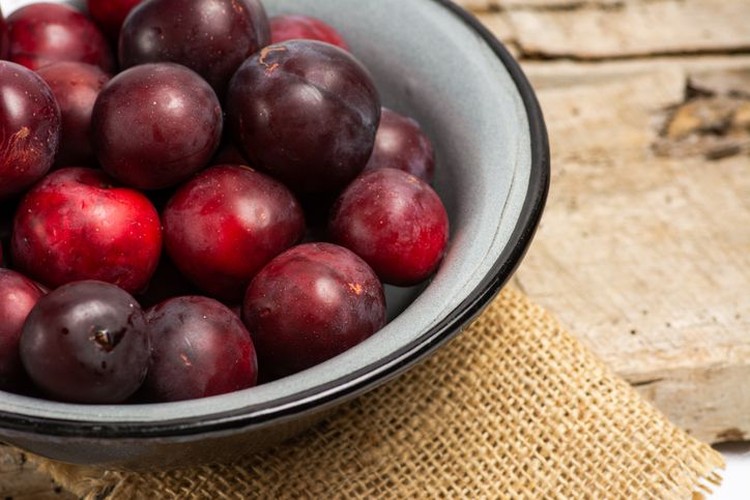 Buah plum red plums isolated