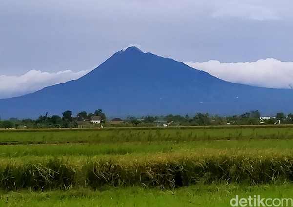 Bentuk pertama adalah strato atau kerucut. Nah, bentuk gunung seperti ini mudah kita jumpai di Indonesia, misalnya Gunung Merapi. (Achmad Syauqi/detikcom) Bentuk pertama adalah strato atau kerucut. Nah, bentuk gunung seperti ini mudah kita jumpai di Indonesia, misalnya Gunung Merapi. (Achmad Syauqi/detikcom)