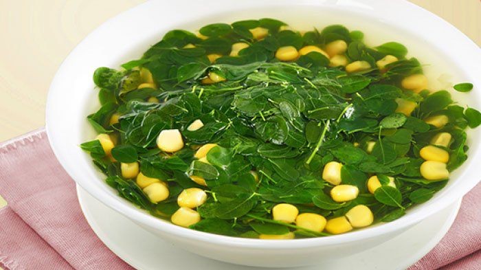 daun kelor