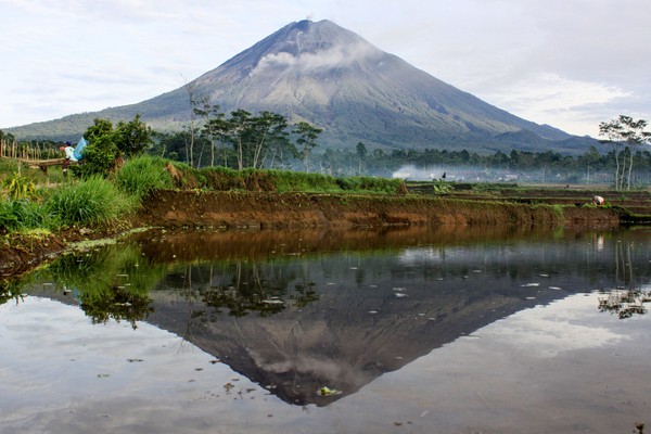 Gunung Semeru juga berbentuk strato. Gunung api strato terbentuk akibat erupsi efusif (lelehan) dan eksplosif (letusan). Letusan gunung ini akan disertai dengan suara dentuman atau ledakan dan juga semburan lava. (Foto: ANTARA FOTO/Umarul Faruq) Gunung Semeru juga berbentuk strato. Gunung api strato terbentuk akibat erupsi efusif (lelehan) dan eksplosif (letusan). Letusan gunung ini akan disertai dengan suara dentuman atau ledakan dan juga semburan lava. (Foto: ANTARA FOTO/Umarul Faruq)