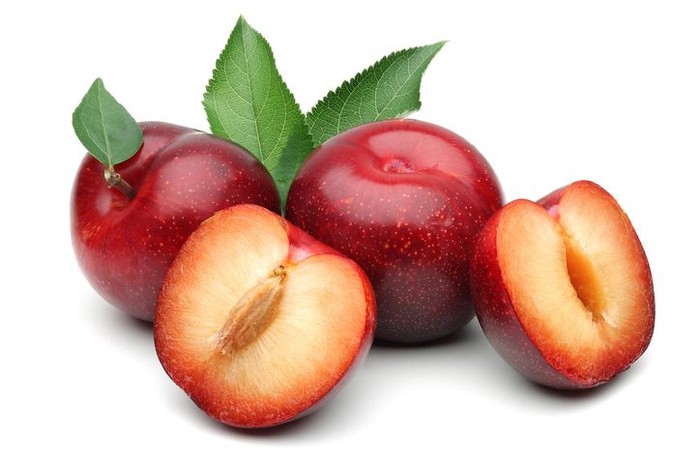 Buah plum red plums isolated