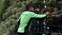 Petugas menata satu per satu tanaman hias yang berada di kawasan tersebut.