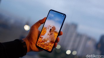 Inilah Vivo V19. Foto: Adi Fida Rahman/detikINET
