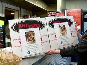 Unik! Gerai Pizza Ini Iklankan Anjing Jalanan agar Diadopsi