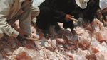 Ini Rumitnya Pembuatan Himalayan Pink Salt, Garam Cantik yang Mahal