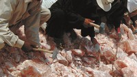 Sehari-harinya para pekerja tambang harus bekerja di bawah terik matahari untuk memecah batu hingga mengambil batu yang berisi garam alami. Foto: Istimewa