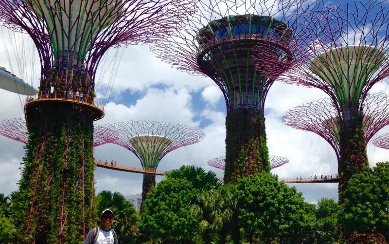 Gardens By The Bay, Taman Ciamik Di Jantung Kota Singapura