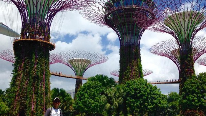 Gardens By The Bay, Taman Ciamik Di Jantung Kota Singapura