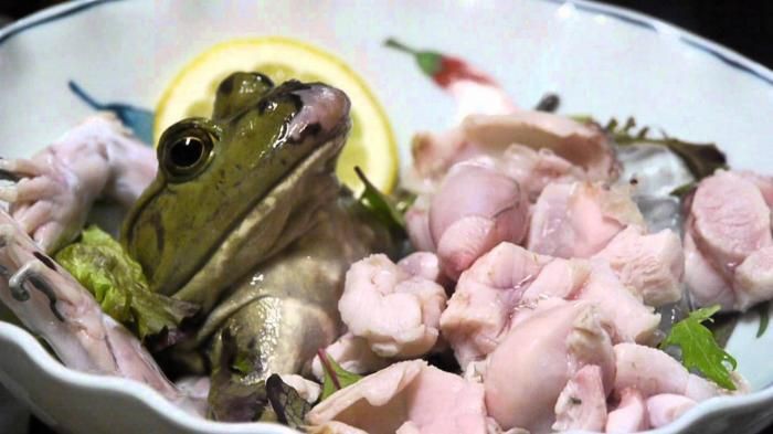katak china katak china