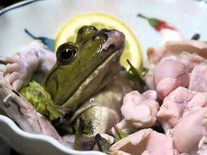 Terkait Virus Corona, Warga China Dilarang Makan Ular, Tikus dan Kura-kura