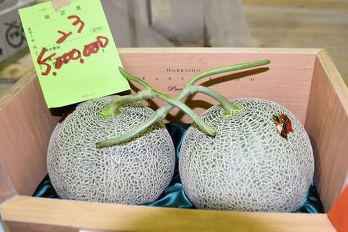 Melon Yubari King