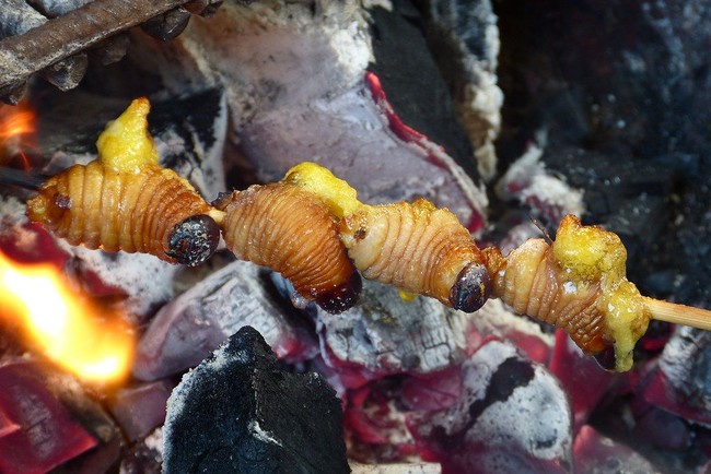 Berani Coba? Sate Ekstrem Dari Ulat hingga Buaya yang Hits