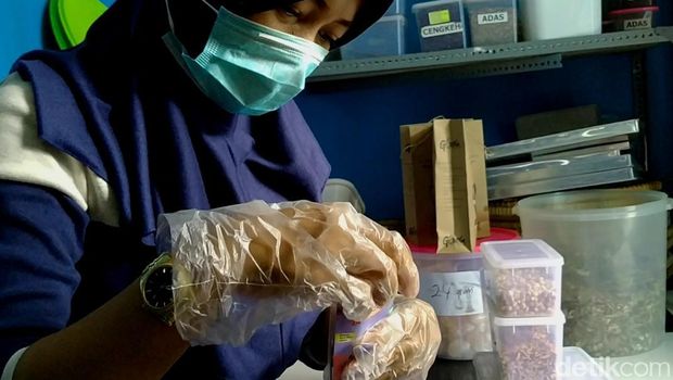 Minuman Rempah-Rempah Laris Manis Gegara Corona