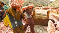  Potret para pekerja tambang Himalayan Pink Salt ini menjadi sisi yang jarang diketahui oleh banyak orang. Foto: Istimewa