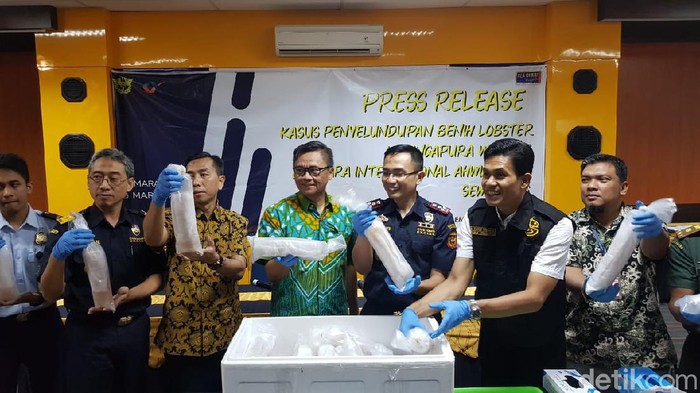 Konpers penggagalan penyelundupan babby lobster di Semarang, 6/3/2020