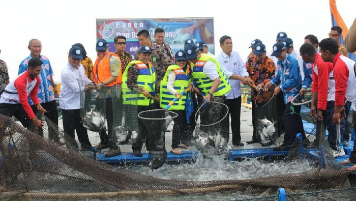 KKP