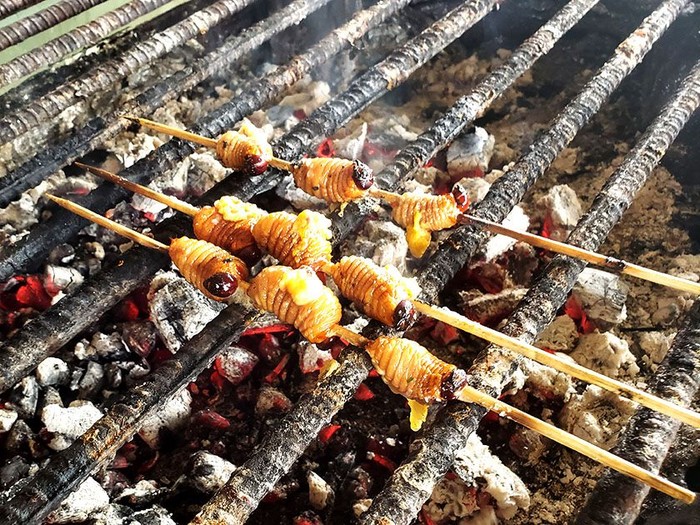 Sate Ekstrem Nusantara