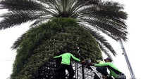Sejumlah petugas dari Dinas Kehutanan Provinsi DKI Jakarta melakukan perawatan dengan menata tanaman hias yang berada di ruang penghijauan, Jalan Medan Merdeka Selatan, Jakarta, Jumat (6/3/2020).