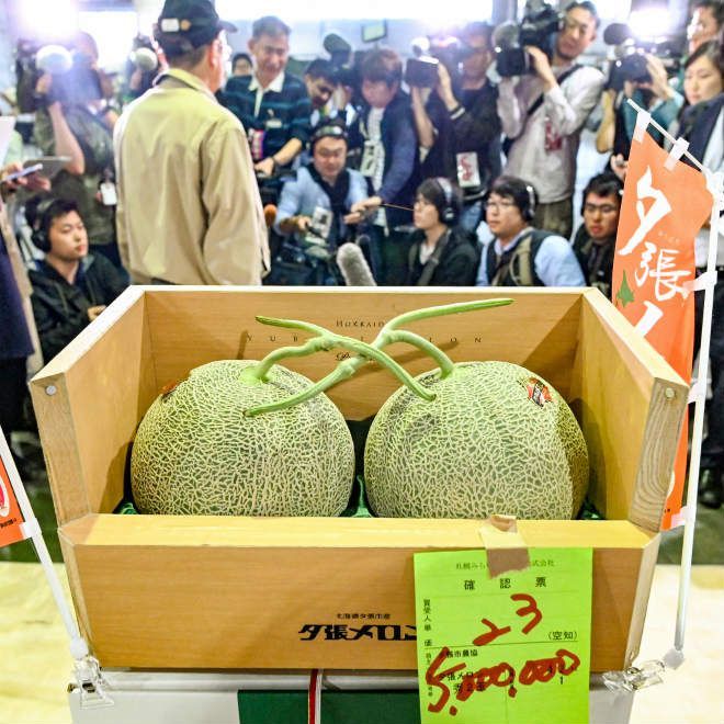 Melon Yubari King