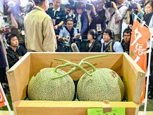 Melon Jepang Laku Rp 374 Juta hingga Penjual Bakso Marahi Pembeli