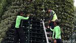 Aksi Petugas Menata Tanaman Hias di Kawasan Medan Merdeka