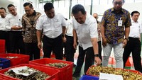 Wamenhan dan Sekjen Kemhan melakukan kunjungan untuk melihat kemampuan produksi PT Pindad, khususnya munisi berbagai kaliber. Istimewa/Humas PT Pindad.