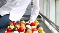 Chef Cedric Grolet adalah chef pastry dunia yang sangat terkenal. Masih muda, tampan, dan berbakat, chef Cedric Grolet sangat mahir menunjukkan kebolehannya saat membuat pastry realistic dessert berbentuk buah yang cantik. Foto: Instagram @cedricgrolet