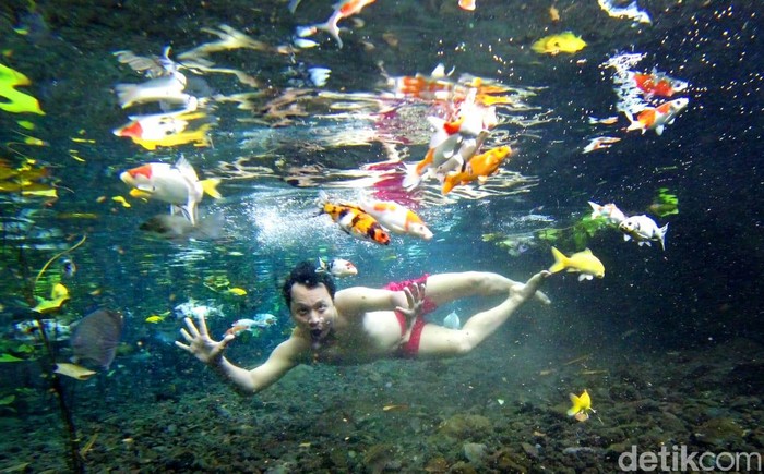 Asyik! Di Pemandian Ini Bisa Selfie Under Water Bareng Ikan
