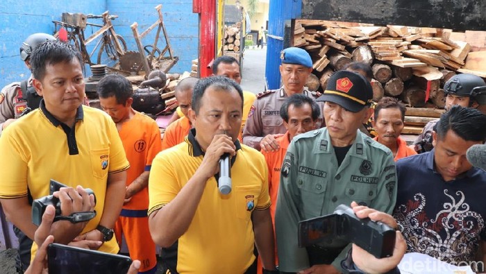 Pelaku Pembalakan Liar