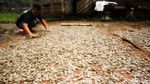 Produksi Kerupuk Tradisional Masih Bertahan, Ini Buktinya