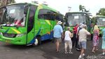 Dipastikan Aman dari Corona Penumpang Viking Sun Turun di Bali