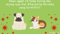 Aman nggak sih kalau kucing dan anjing saya ikut dikarantina bersama yang terinfeksi? Tidak ada bukti bahwa hal itu bisa terjadi. 