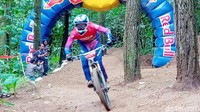 BOB berharap nantunya akan ada peningkatan jumlah wisatawan ke Kawasan Otoritatif BOB dan sekitarnya (Rinto Heksantoro/detikcom)