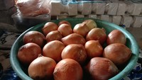 Kenaikan harga ini diyakini yang tertinggi yang pernah terjadi. Kenaikan terjadi diduga akibat minimnya pasokan sejak satu bulan yang lalu heboh corona. Foto: Anisa Indraini