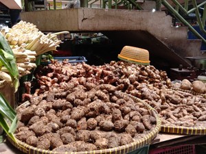 Cetak Rekor! Harga Jahe Merah di Parepare Setara Daging Sapi 