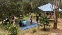Nikmatnya lagi, sensasi makan duruan di kebun ini bisa dirasakan sambil duduk manis di bawah rindangnya pohon durian. Namun, tidak perlu khawatir kalau duriannya jatuh, karena semua buah telah diikat. (Abdy Febriady/detikcom)