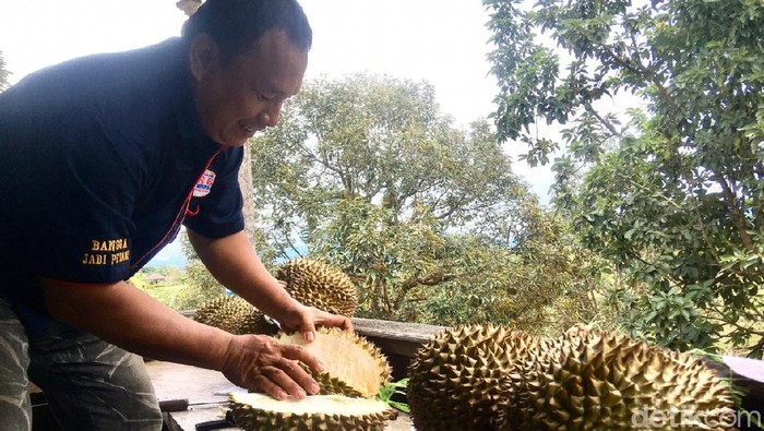 Kebun Raya Bulo Polman