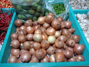 Harga Bawang Bombai Sudah Gila-gilaan, Keran Impor Pun Dibuka