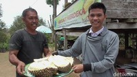 Tidak perlu khawatir mendapat durian yang tidak manis. Semua durian yang disajikan ada garansi dari pengelola. (Abdy Febriady/detikcom)
