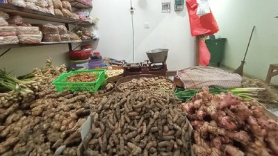 Digoyang Corona, Harga Jahe Sampai Bawang Bombai Cetak Rekor