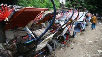 Tak hanya merawat sejumlah kuda, para kusir juga mengecek tekanan ban pada gerobak dorong.