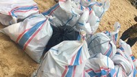 Adrian fokus pada permasalahan polusi plastik, terutama sedotan plastik. Untuk itu, Adrian berpesan kepada masyarakat untuk mengganti penggunaan alternatif dari produk plastik. (Adrian Grenier/Instagram)