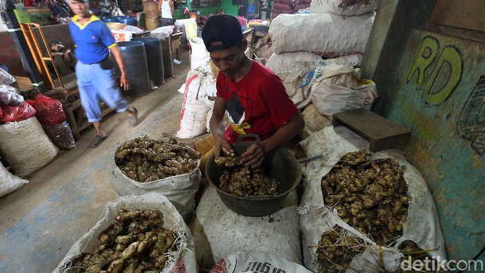 Jahe merupakan rempah-rempah yang diburu warga untuk menangkal virus corona. Kepopulerannya membuat harga jahe melambung hingga Rp 70 ribu di Pasar Kramat Jati.