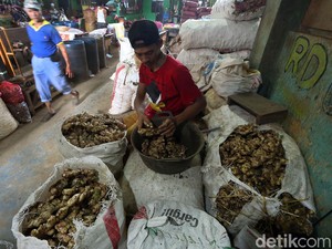 PT PUF Ikut Dorong Produktivitas Rempah-rempah RI