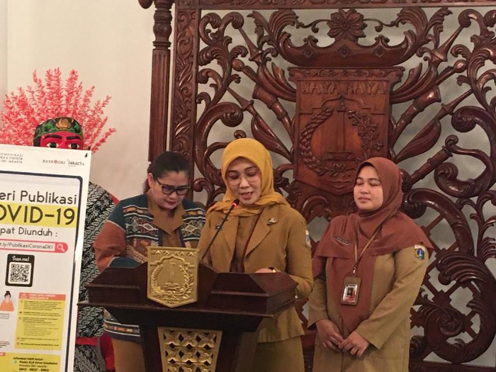 Kepala Bidang Sumber Daya Kesehatan, Dinas Kesehatan DKI Jakarta, Ani Ruspitawati. (Foto: Arief/detikcom)