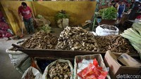 Jahe kini menjadi salah satu empon-empon yang paling banyak dicari di tengah kekhawatiran virus corona beberapa hari belakangan.
