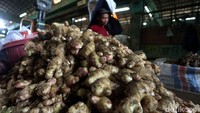 Jahe jadi salah satu rempah-rempah yang banyak diburu warga usai COVID-19 masuk ke Indonesia beberapa waktu lalu. Meningkatnya permintaan konsumen terhadap jahe membuat harga rempah-rempah itu merangkak naik.