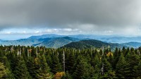 Taman Nasional Pegunungan Great Smoky jadi taman nasional paling populer di National Park Services (NPS) 2019. Kawasan ini mampu menarik 12,5 juta pengunjung pada tahun lalu (Foto: CNN)