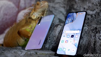 Oppo Reno3 hadir dalam dua varian warna. Foto: Adi Fida Rahman/detikINET